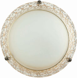ArkoLight Таванно осветление 40бр