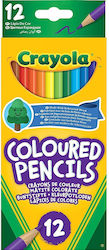 Crayola Buntstifte Set 12 Farben Crayola Buntstifte Set 12 Farben