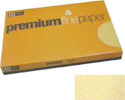 Premium Fine Paper Hârtie de Imprimare Papyrus A4 90gr/m² 1x250 foi Maro 810.90.2052