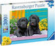 Kinderpuzzle Puppy Life für 9++ Jahre 300pcs Ravensburger