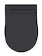 Bianco Ceramica Plastic Soft Close Toilet Seat Anthracite Matt 45cm