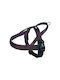 Nobby Dog Harness Training Classic Preno Brown X-Large 45mm x 75-98cm 80535-23