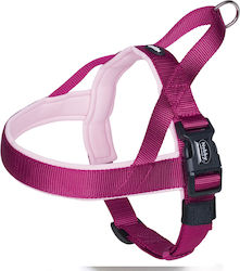 Nobby Training Classic Preno Pink X-Large / Large 45mm x 68-85cm Nobby Training Classic Preno Pink X-Large / Large 45mm x 68-85cm