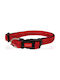 Pet Interest Stripes Dog Collar in Red Color Medium 20mm x 36 - 56cm