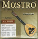 Mastro Strings Lute Set Σετ Χορδών Silver Plated Λαούτου 17 - 30"