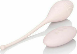 Calexotics Vibrating Remote Kegel Exerciser White Calexotics Vibrating Remote Kegel Exerciser White