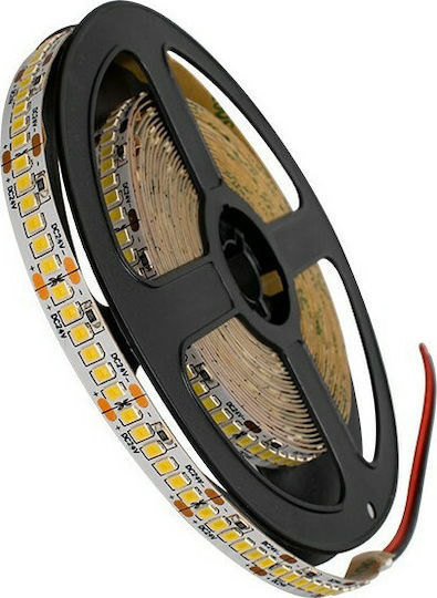 GloboStar Ταινία LED 24V Θερμό Λευκό Φως 5m Τύπου SMD2835