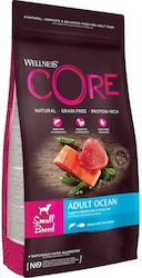 Wellness Core Grain Free Small Adult Ocean Wellness Core Grain Free Small Adult Ocean