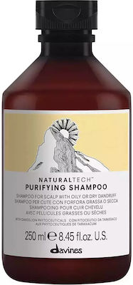 Davines Purifying Shampoos Against Dandruff for All Hair Types 250ml