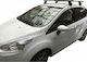 Menabo für Ford B-Max (mit Dachträgerfüßen)