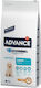 Affinity Advance Puppy Maxi 12kg Trockenfutter für Welpen großer Rassen mit Huhn und Reis