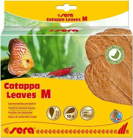 Sera Catappa Leaves M Aquarium Water Treatment for Environment Protection