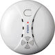 Kerui Smoke Detector