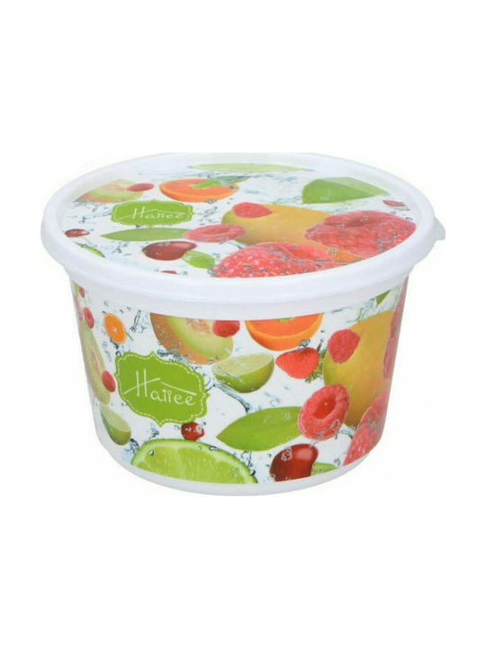 Cutie pentru Mâncare Plastic Multicolor 4buc