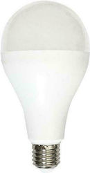 Eurolamp LED Lampen für Fassung E27 und Form A60 Naturweiß 2040lm 1Stück