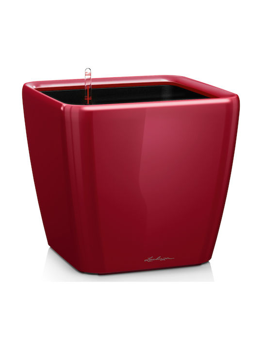 Lechuza Quadro LS 35 Scarlet Red High-gloss 16167