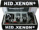 Dectane Xenon Сет за Осветление H11 12V 6000К Хладно бяло