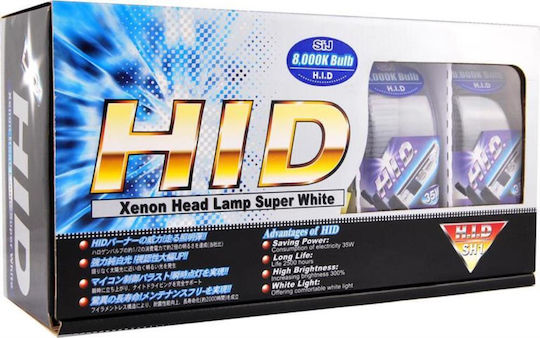 Mycarr Xenon Σετ Φωτισμού Αυτοκινήτου H1 35W 12V 8000K Ψυχρό Λευκό