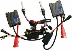 Bizzar Car Xenon Kit Normal HID H10 35W 12V 8000K Cold White