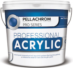 Pellachrom Professional Acrylic Plastik Farbe für Äußeres Verwendung Weiß 3Es