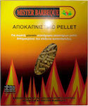 Mister Barbeque 209 – Sweeping Pellets 08516 Kaminreiniger Pellet für Chimney Kamin 1kg