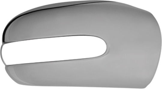 Dectane Cap Car Exterior Mirror 02-06