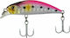 Shinka Chisai Τεχνητό Δόλωμα Ψαράκι (Minnow) No10 4.5εκ./2.5gr F17
