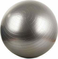 14172 Μπάλα Pilates 65cm σε Ασημί Χρώμα