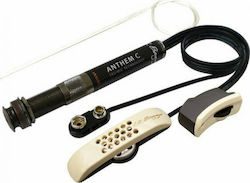 LR Baggs Anthem SL Classical PreAmp Έγχορδου