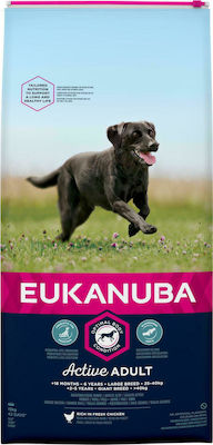 Eukanuba Active Adult Large Breed 15kg Trockenfutter für erwachsene Hunde großer Rassen mit Huhn