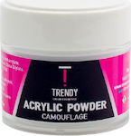 Trendy Color Cosmetics Acryl-Pulver 30gr