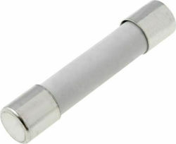 Tele Safety Cylindrical Slow-Blow 10A (FSB-10) 1pcs