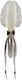 Primus Cuttlefish Squid Jigs 15cm Transparent S...