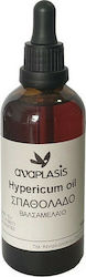 Anaplasis Ulei De Sunătoare 100ml Anaplasis Ulei De Sunătoare 100ml