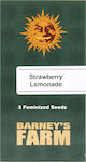 Barneys - Strawberry Lemonade - 3 seeds