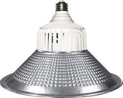 Aca Ersatzreflektor für Leuchten aus Aluminium 450x120 für (P176100 & P176150) Silber PREF