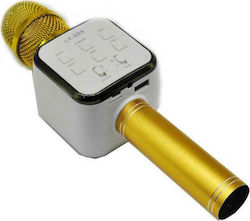 Kabelloses Karaoke-Mikrofon LY-889 Gold