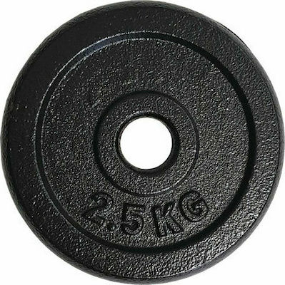 Iron Weight Disk 2,5kg Scheibenset Metall 1 x 2.5kg Ø28mm