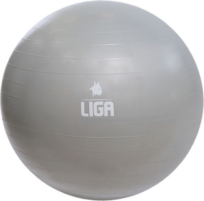 Liga Sport 292110 Pilates Ball 55cm Gray
