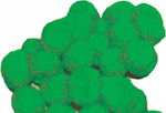 Next Pom Pom de Artizanat Verde cu Diametru 20mm Set 100buc