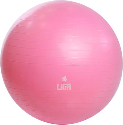 Liga Sport 150807 Pilates Ball 65cm 0.5kg Pink