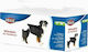 Trixie Diapers Hundewindeln M-L 36-52cm 12 Stück Groß / Mittel 36 - 52cm 12Stück