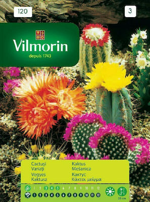 Vilmorin Seeds Cactus