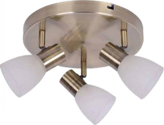 Inlight 9064-3 Dreifach Spot mit Fassung E14 in Bronze Farbe