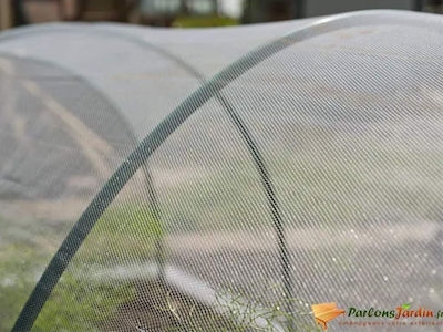 Nature Gardening Accessories Insect Transparent 2 x 10m 423487