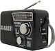 Waxiba XB-521URT Radio portabil Cu baterie cu U...