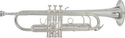 Roy Benson TR-403 Trumpet Silver