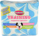 Inodorina Hundewindeln Trainingsscented mit Klebstoff 60x60 10 Stück 60x60cm 10Stück