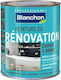 Blanchon Renovation Plastic Vopsea pentru Utilizare Intern Beige Cendre 500ml