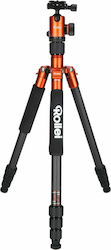 Rollei C5i Carbon Fotografie Trepied Portocaliu